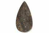 Stony Chondrite Cabochon ( grams) - Meteorite #238188-1